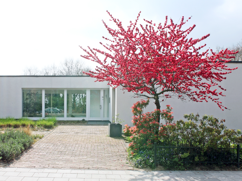 Overzicht van de coachruimte in Brunssum